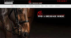 Desktop Screenshot of findadressagehorse.com